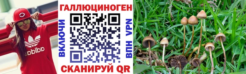 Галлюциногенные грибы GOLDEN TEACHER  Первоуральск 